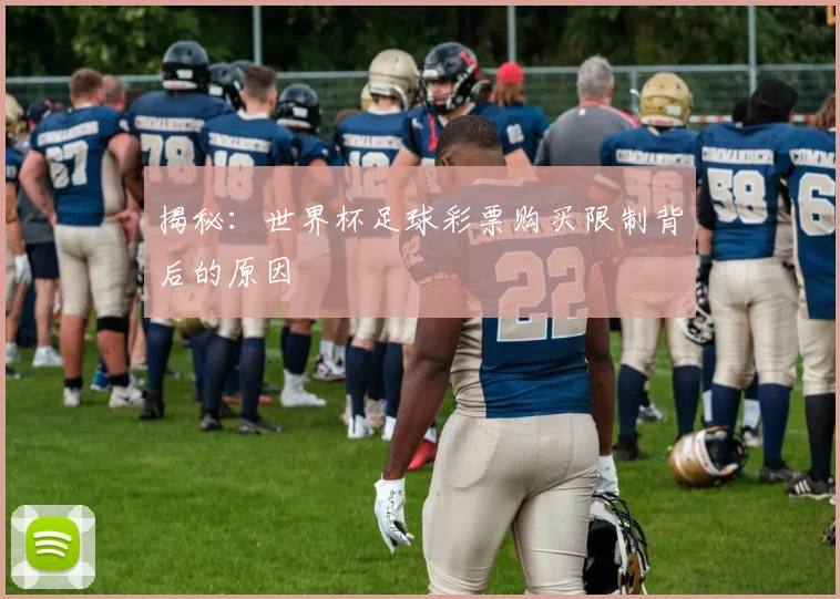 揭秘：世界杯足球彩票购买限制背后的原因