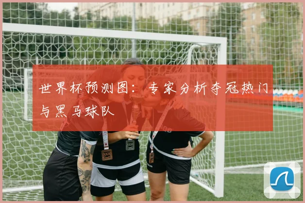 世界杯预测图：专家分析夺冠热门与黑马球队
