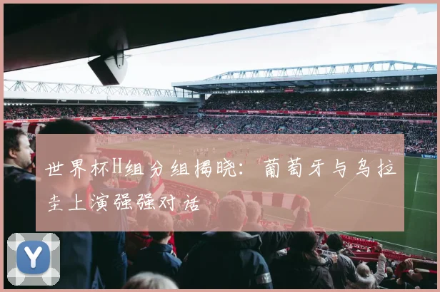 世界杯H组分组揭晓:葡萄牙与乌拉圭上演强强对话